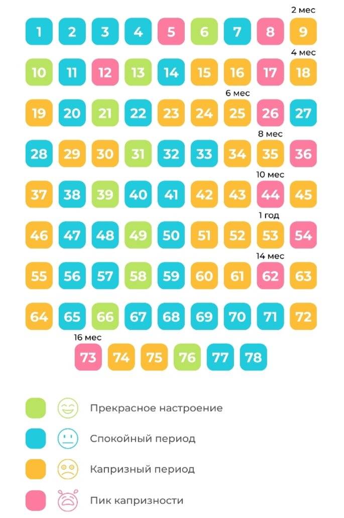 Развитие ребенка от 6 месяцев до года - режим, вес, умения - agulife.ru