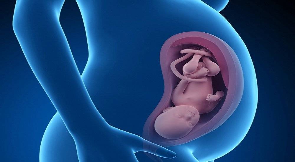 36 неделя беременности: что происходит с ребенком, ощущения мамы, вес и рост плода, шевеления и двойня / mama66.ru