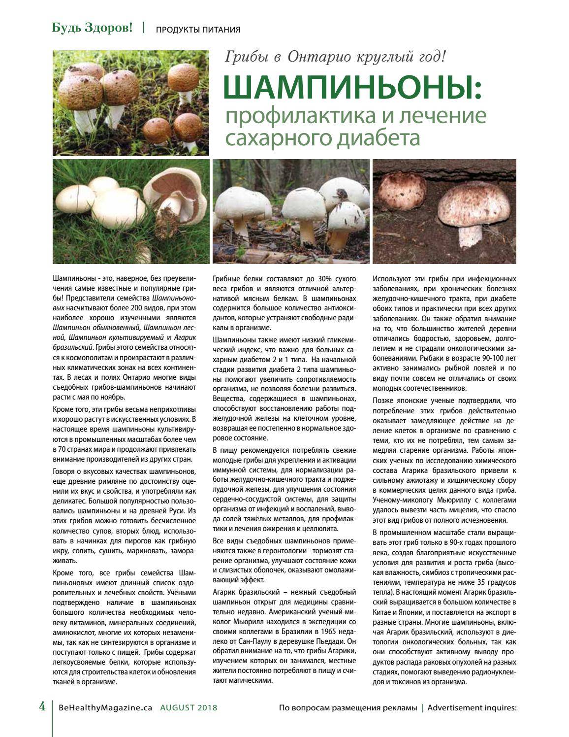 Можно ли детям грибы: с какого возраста и какие грибы давать