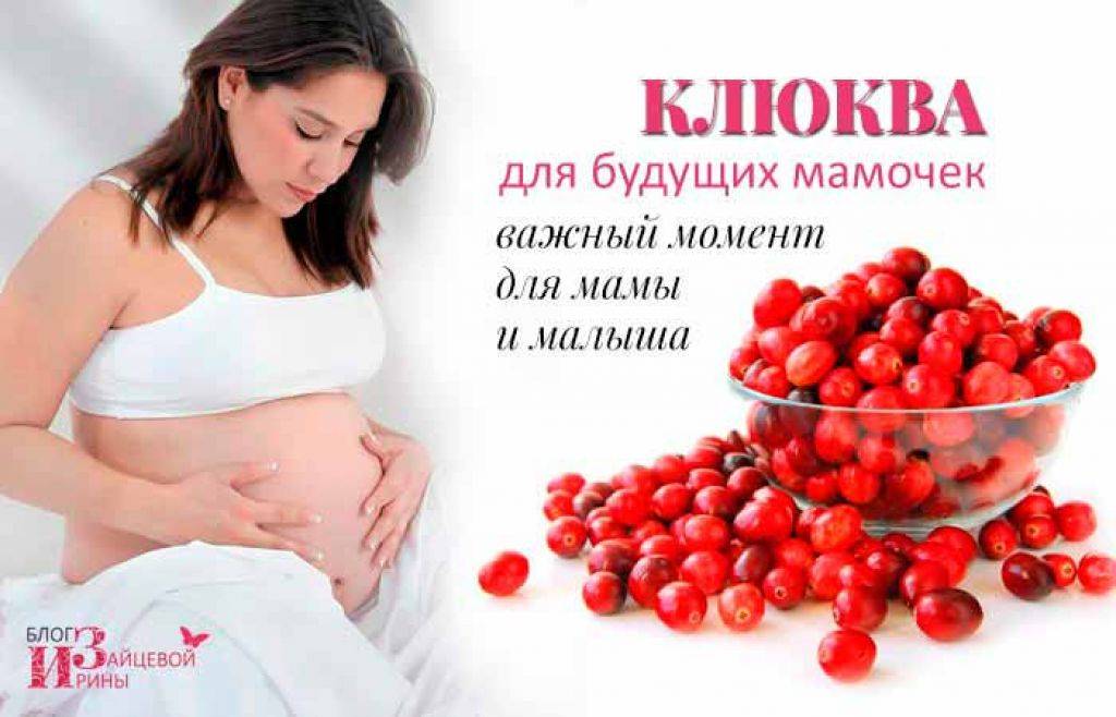 Употребление клюквы при беременности: свойства и рецепты | салид