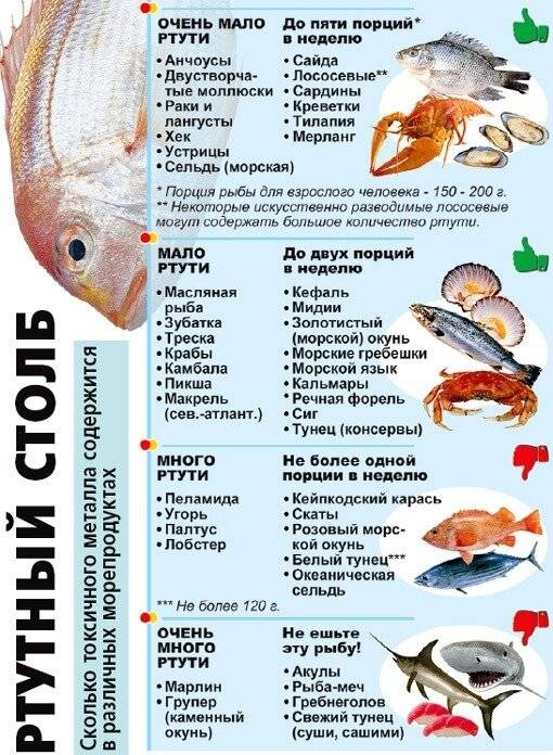 Рыба при грудном вскармливании: можно ли ее употреблять и какую