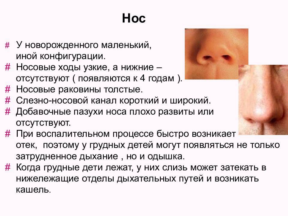 Грудничок хрюкает носом, но соплей нет: причины, лечение pulmono.ru
грудничок хрюкает носом, но соплей нет: причины, лечение