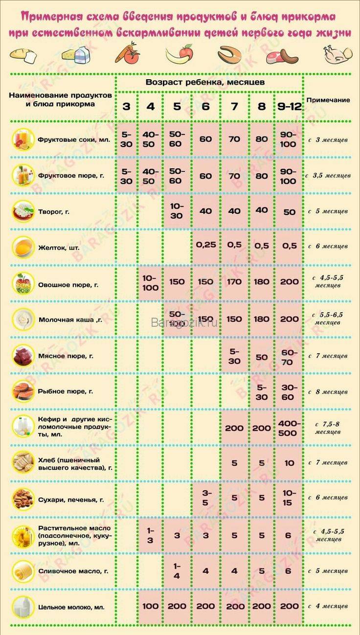 Прикорм по месяцам при грудном вскармливании: таблица