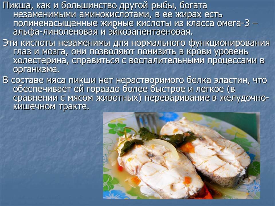 Рыба минтай. польза и вред для организма человека, калорийность на 100 грамм. рецепты с фото