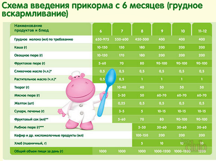 Правила введения прикорма ребенку 4 - 12 месяцев: первый прикорм, меню, схемы, таблицы, принципы питания малыша - университет здорового ребёнка няньковских