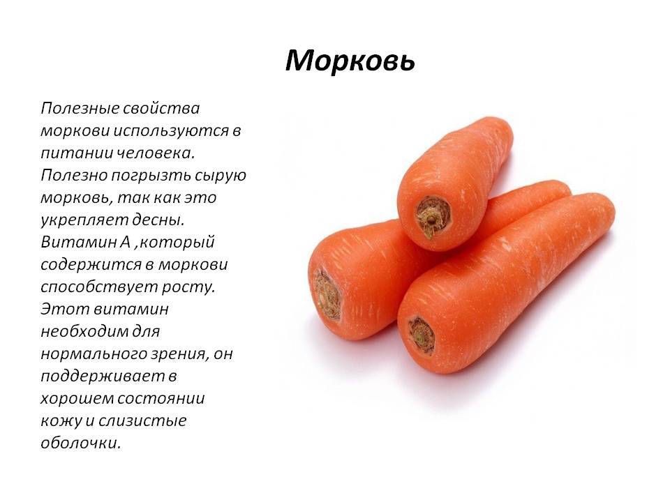 Морковный сок при беременности: почему хочется постоянно грызть морковку при беременности, и в каком виде она более полезна – сок, сырая, тушеная или по-корейски