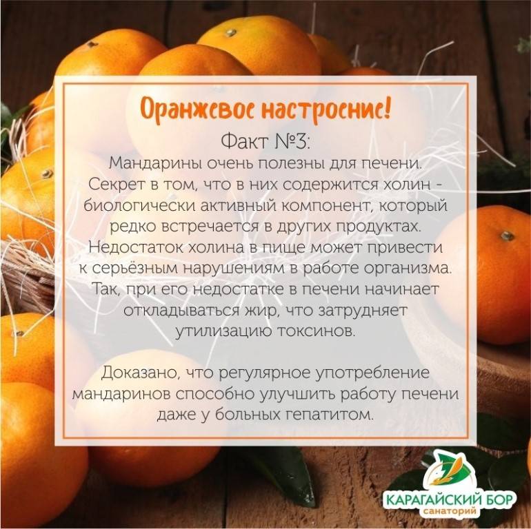 Как выбрать и правильно хранить мандарины / советы, актуальные перед праздниками – статья из рубрики "что съесть" на food.ru
