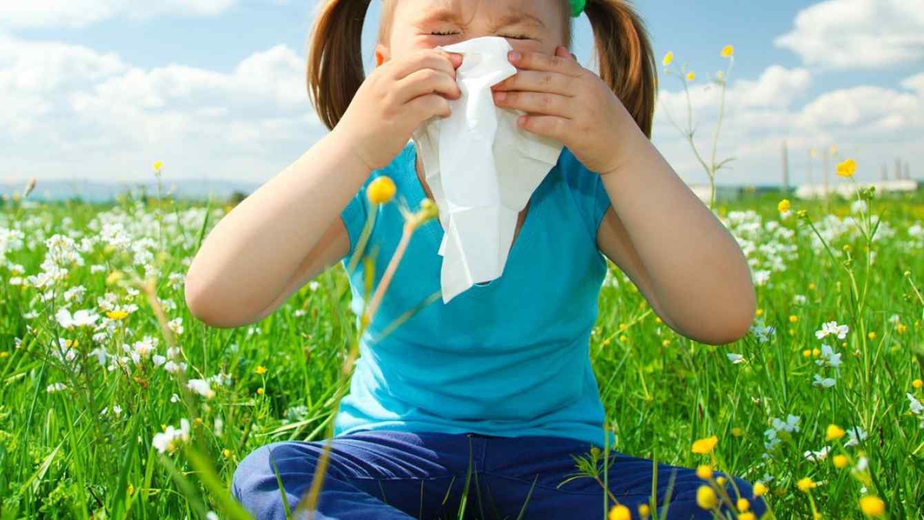 Лечение аллергического поллиноза (аллергия на пыльцу)