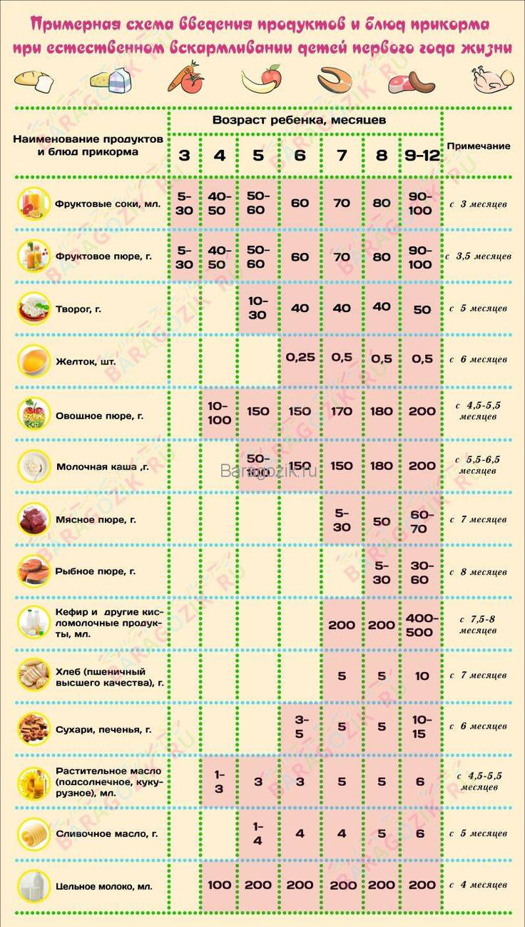 Прикорм ребенка по месяцам ???? до года при грудном вскармливании: таблица и схема