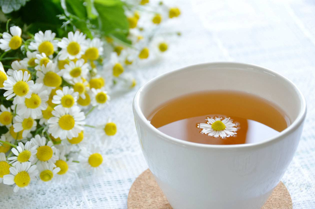 Полезные свойства чая, настоя и отвара ромашки для грудничков