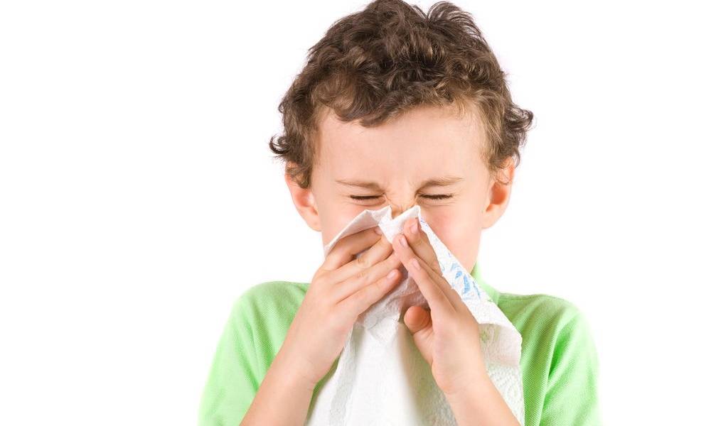 Аллергия на пыль у детей и взрослых: симптомы, лечение — online-diagnos.ru
