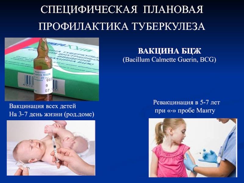 Прививки детям до года: график вакцинации новорожденных