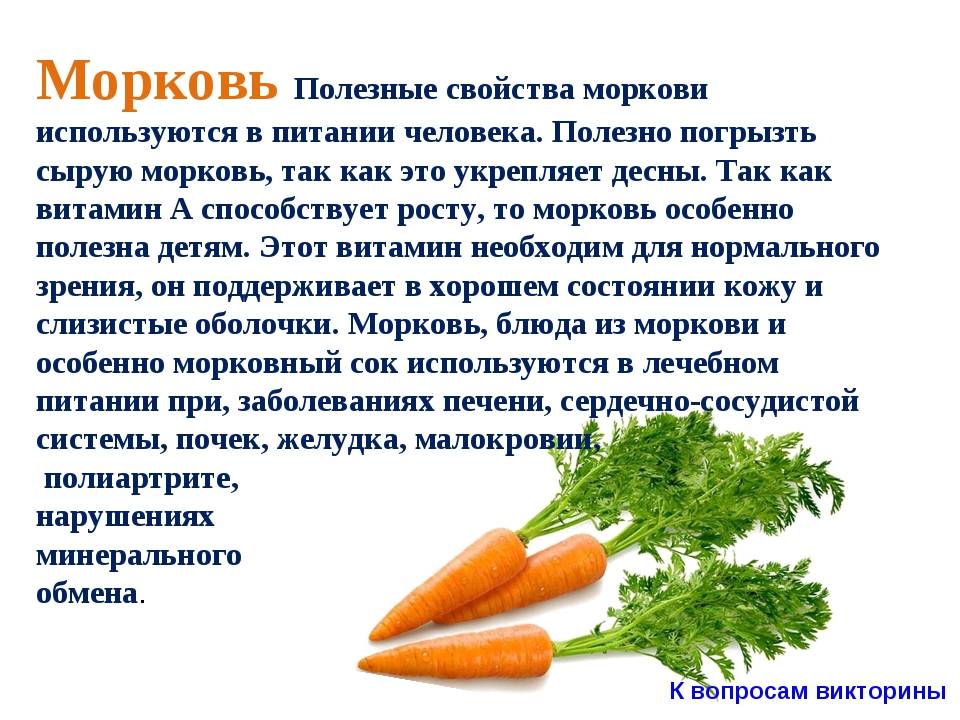 Морковь при грудном вскармливании: можно ли и в каком виде