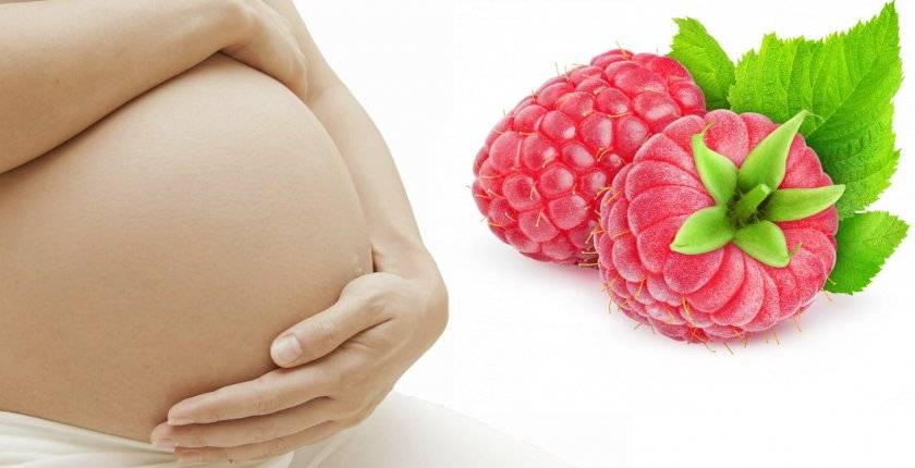 Можно ли малину (ягоды и листья) при беременности? / mama66.ru
