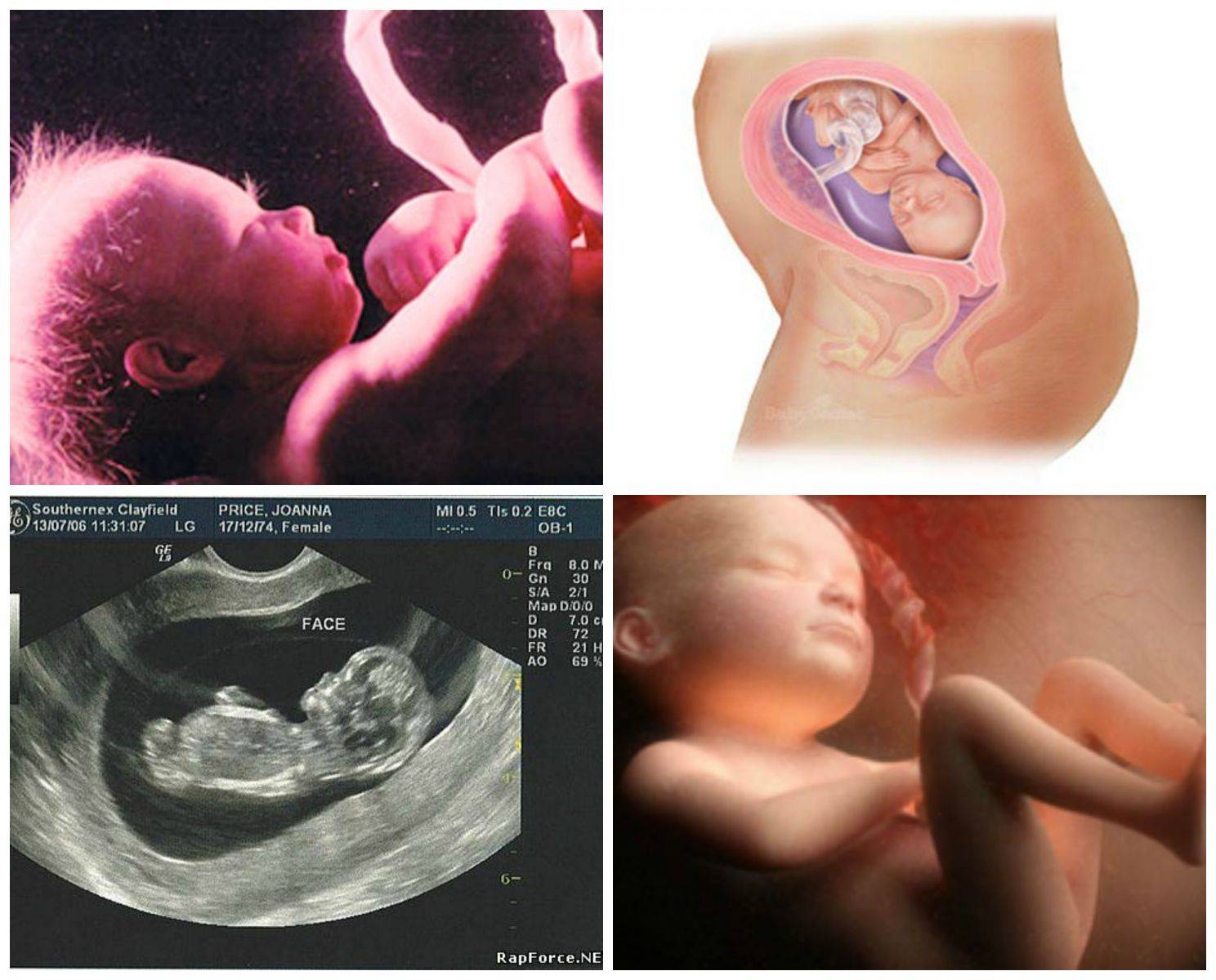 27 неделя беременности: это сколько месяцев, видео, как расположен плод