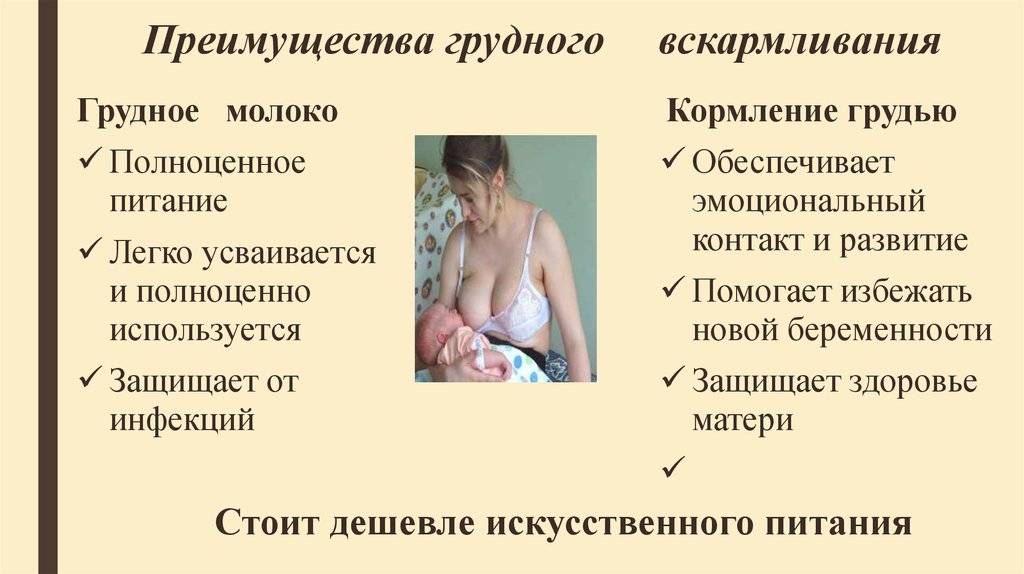 Признаки беременности при грудном вскармливании, можно ли забеременеть во время лактации, симптомы нового положения при гв, достоверен ли тест