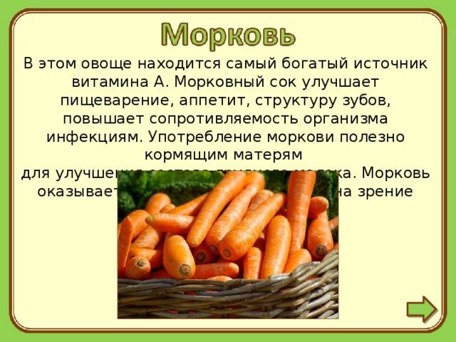 Морковь при грудном вскармливании: польза, вред и употребление