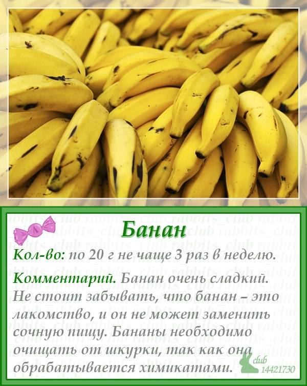 С какого возраста можно давать банан ребенку, его польза и вред
