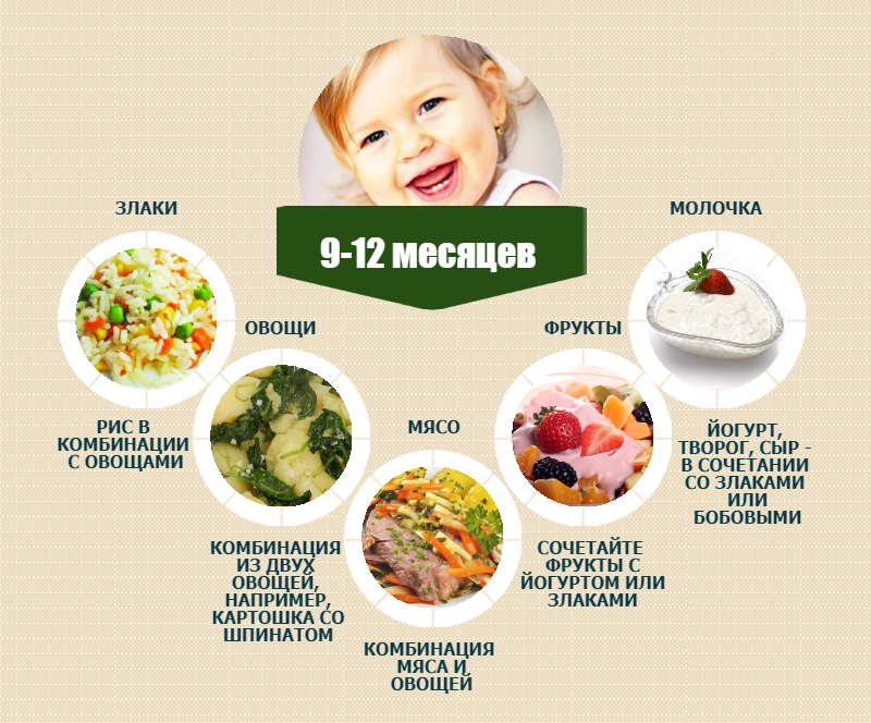 Питание ребенка в 9 месяцев: таблица кормления по месяцам