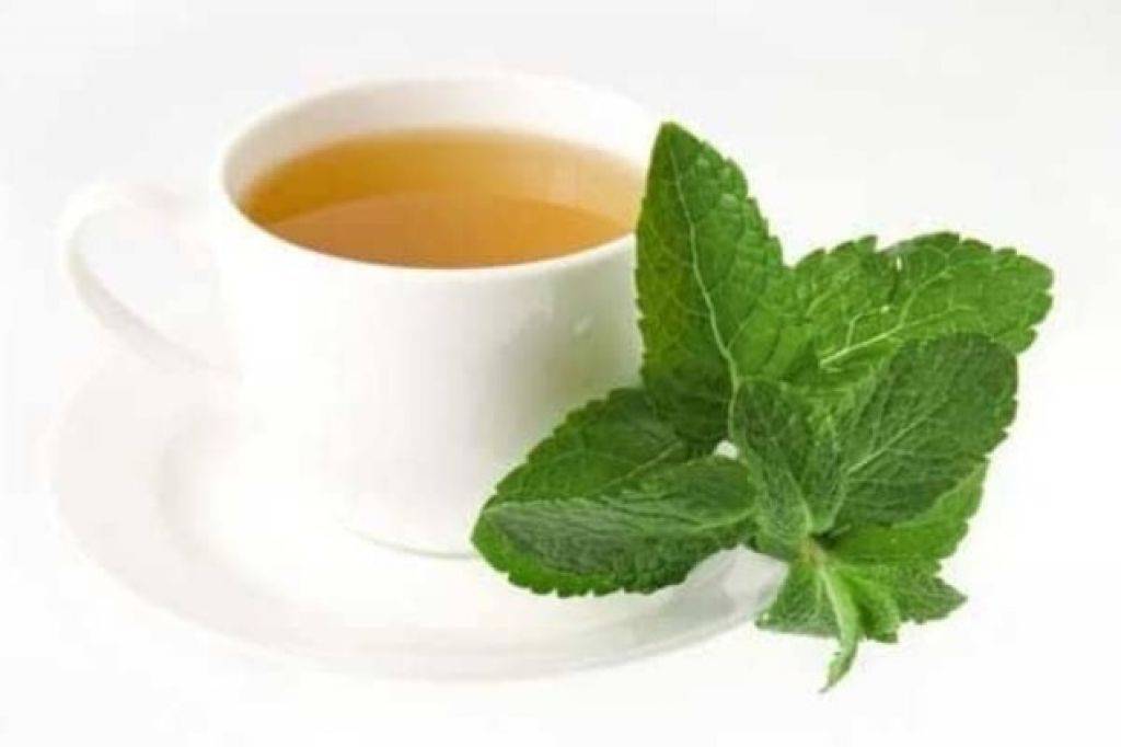 Мята при грудном вскармливании, чай с мятой: польза или вред