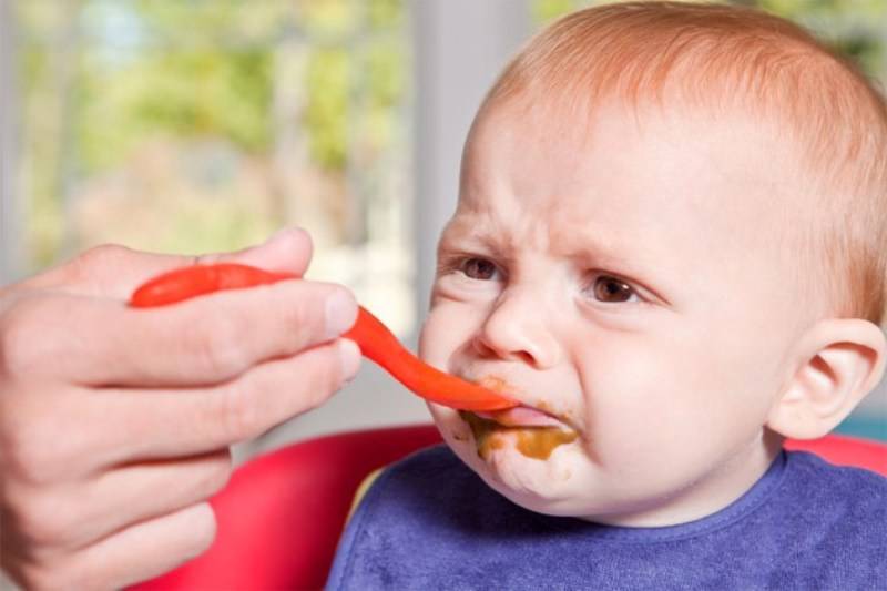 Дети вегетарианцы: можно ли детям быть веганами, чем кормить ребенка вегетарианца