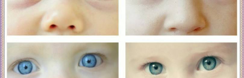 Зрение у младенцев: формировние зрительной системы после рождения. - всё о зрении.