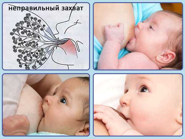 Как правильно держать новорождённого столбиком после кормления