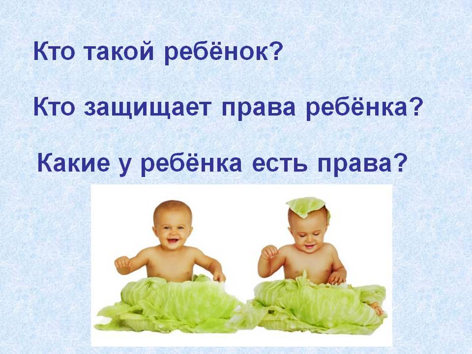 Конспект лекции психолога людмилы петрановской о развитии ребенка 5 декабря 2019 года
