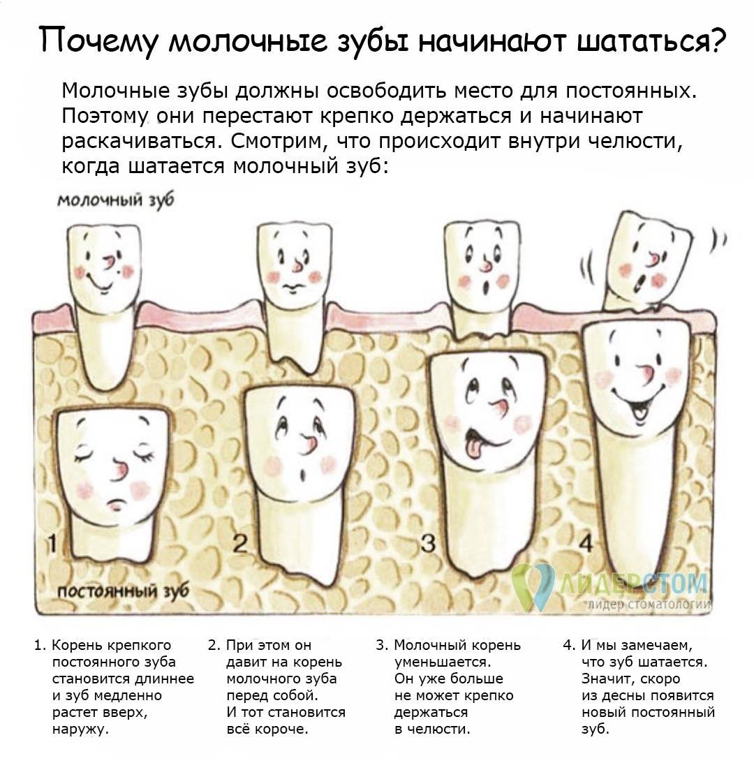 Потемнение молочных зубов | детская стоматология shifa