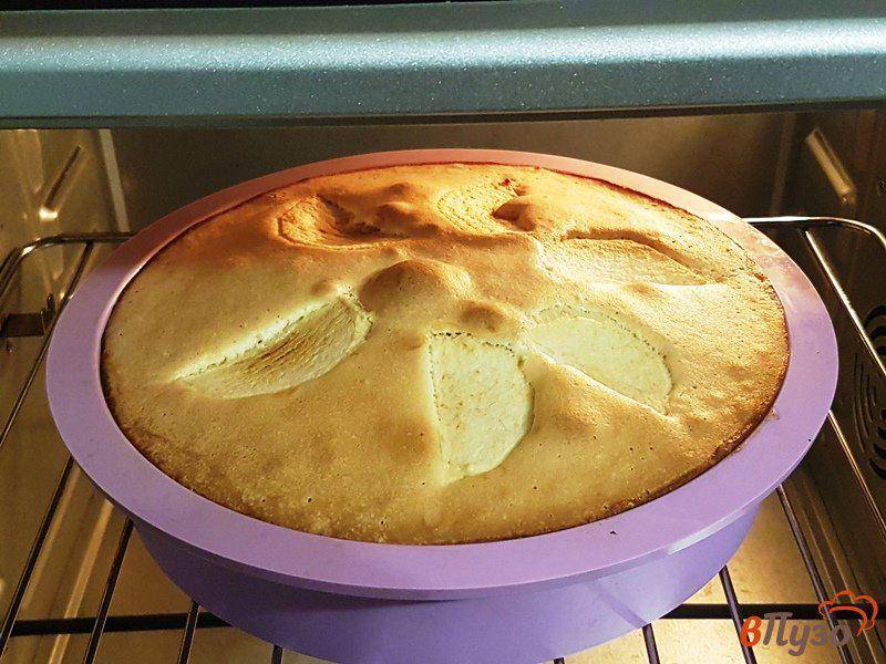 Шарлотка для кормящей мамы как испечь ароматный и полезный пирог дома