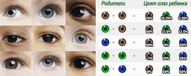 Когда у ребенка меняется цвет глаз и волос на постоянный