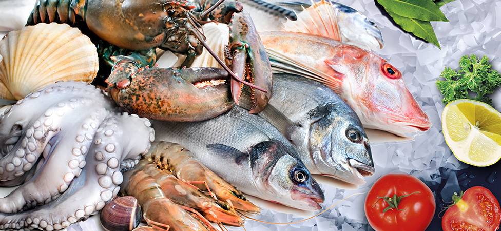 Рыба и морепродукты при беременности
