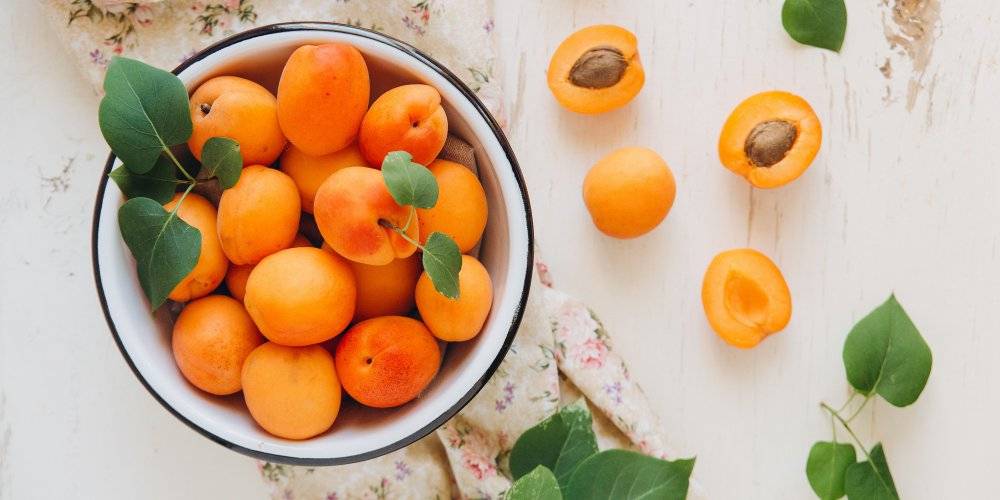 Польза и вред косточек абрикоса для женщин, мужчин, при беременности – хорошие привычки