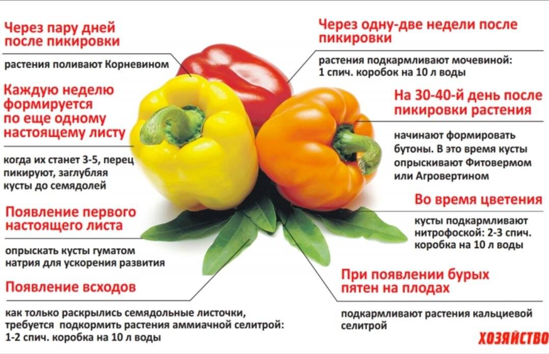 Можно ли употреблять кормящей маме желтый болгарский перец