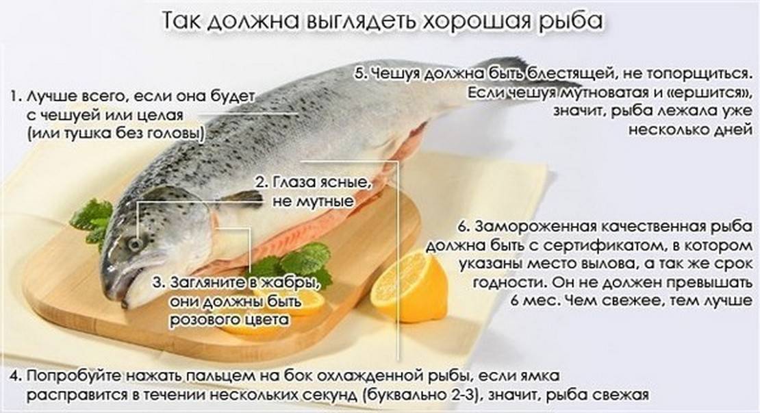 Сколько времени готовить рыбу для детей