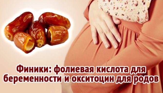Разрешено ли употребление фиников при беременности?