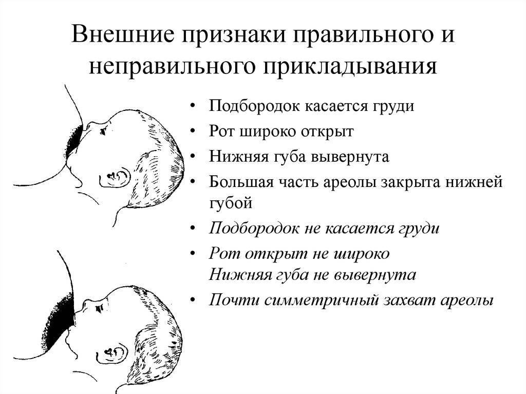 Подготовка молочных желез к кормлению во время беременности pajitnik.ru