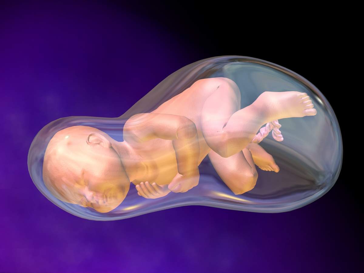 Многоводие при беременности — как его выявить и чем опасно это состояние