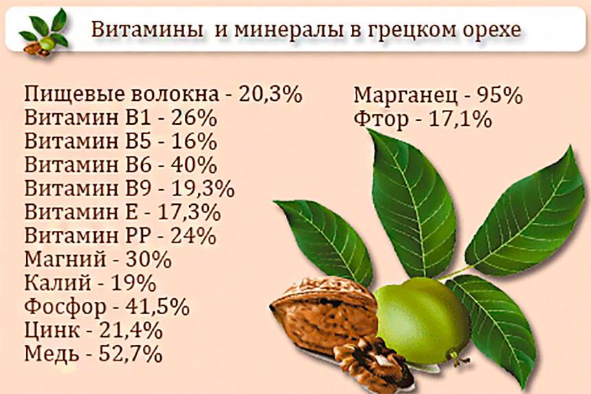 Грецкие орехи: польза и вред. таблица витаминов и минералов, аминокислотный состав