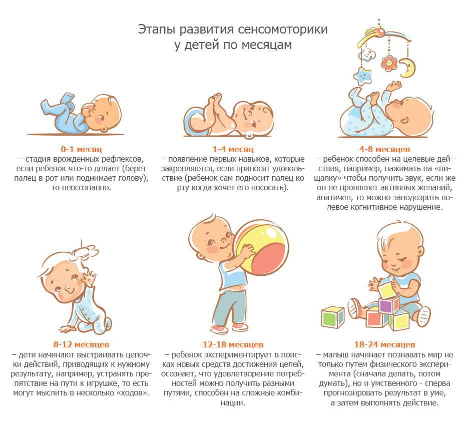 Развитие ребенка в 1 год и 5 месяцев: что умеет делать ребенок в этом возрасте