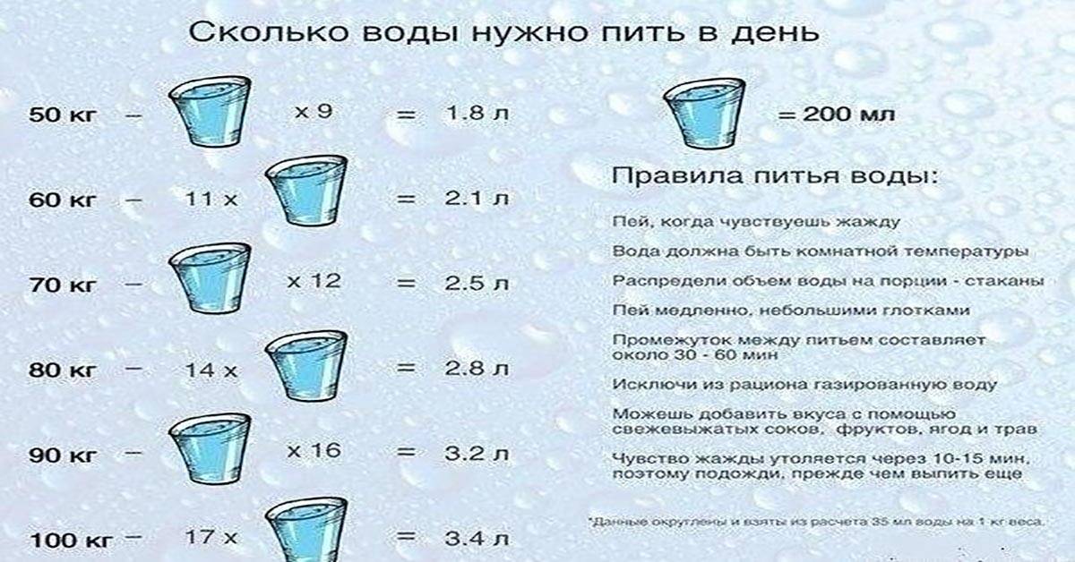 Эвиталия / статьи / бифидобактерии для новорожденных