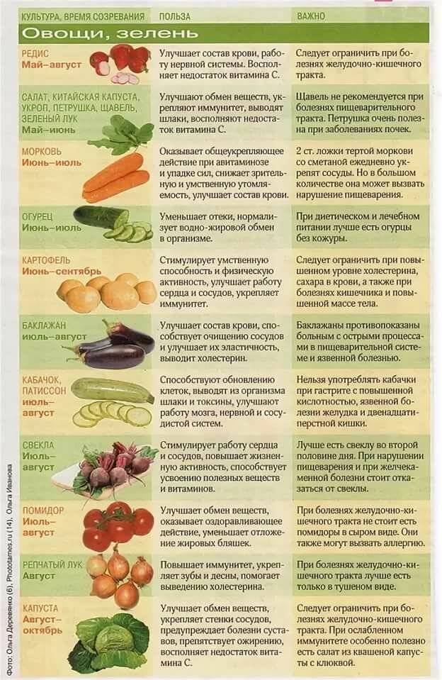 Овощное рагу при грудном вскармливании: рецепты для кормящих