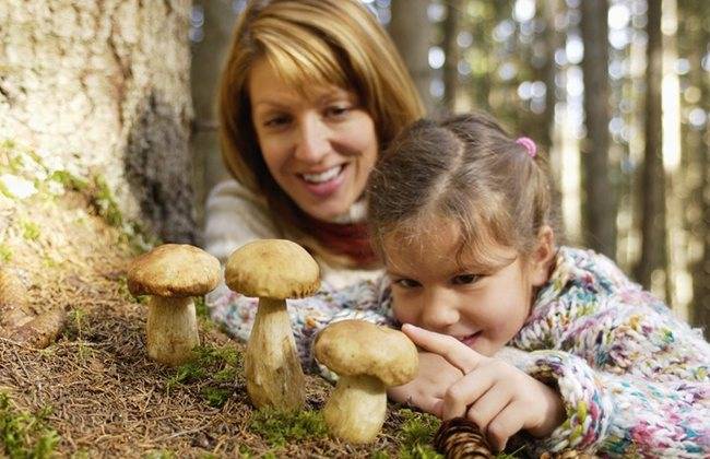 С какого возраста детям можно есть грибы