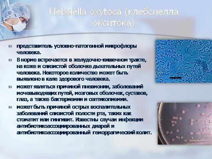 Клебсиелла у грудничка (пневмония) в кале: симптомы, лечение мнение комаровского: лечение, симптомы, профилактика, сдать анализы | гуз "больница № 18"