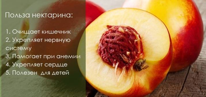 Нектарины при беременности: польза и вред, можно ли есть в 1, 2, 3 триместре