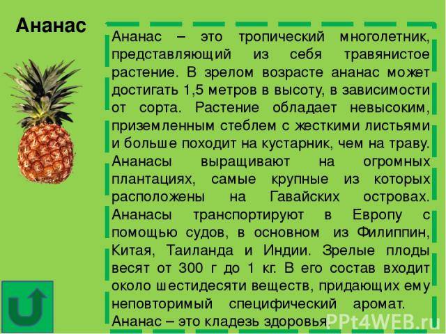 Ананас при грудном вскармливании можно ли маме и как отреагирует кроха