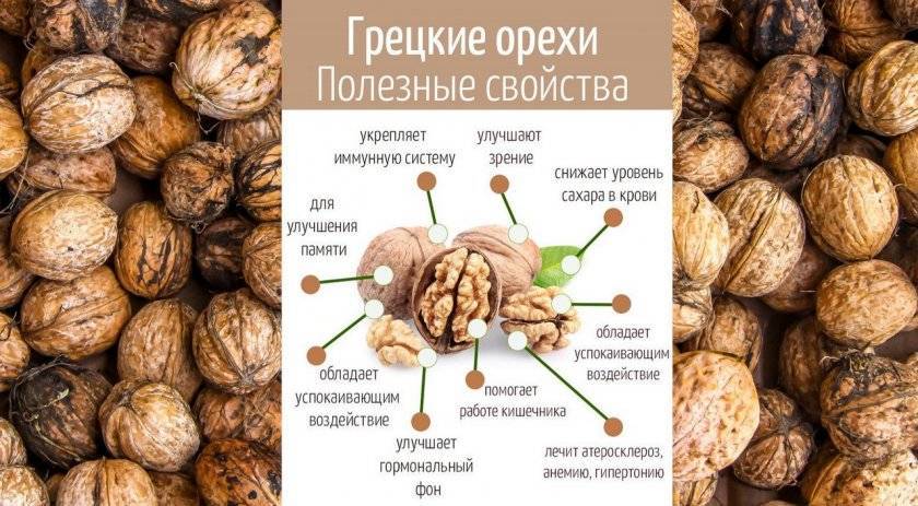 Грецкий орех: лечебные свойства | food and health