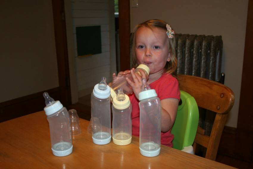 Как отучить ребенка от бутылочки и смеси в 2-3 года: советы комаровского