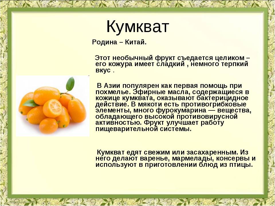 Кумкват что это за фрукт польза и вред вяленого фото как растет