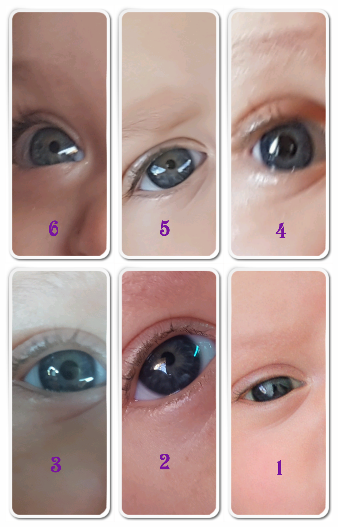 Когда у новорожденного меняется цвет глаз: во сколько месяцев, причины, факторы влияния, таблица определения цветности